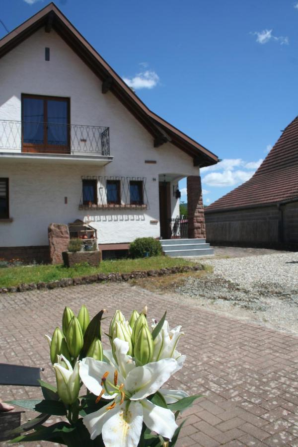 La Maison De Tania Neuve-Eglise Kültér fotó